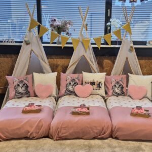Tipi tentjes - Thema Spa | deheerlijketaart.nl | hippetaarten.nl